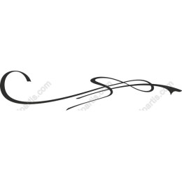 Elegant Flourish