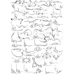  Flourish Collection