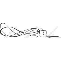 Elegant Flowing Ribbons
