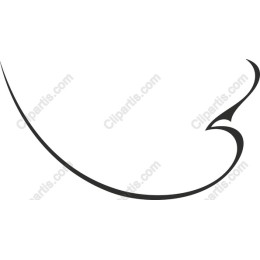 Elegant Swirl