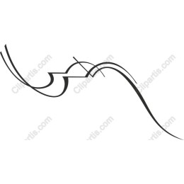 Dynamic Fluid Lines