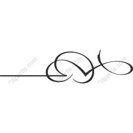Elegant Swirl Flourish