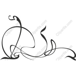 Elegant Swirl