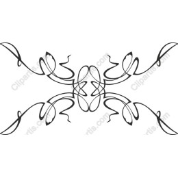 Elegant Spiral