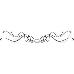 Elegant Decorative Swirl Frame