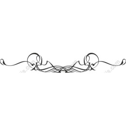 Elegant Decorative Divider