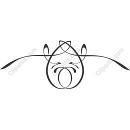 Elegant Flowing Lines