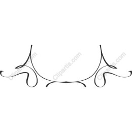 Elegant Decorative Ornament