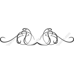 Exquisite Decorative Flourish