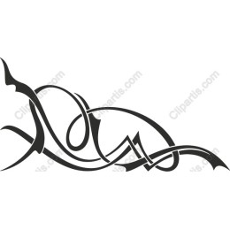 Elegant Abstract Black and White