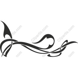 Elegant Decorative Swirl