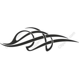 Elegant Swirl