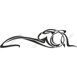 Elegant Abstract Flow