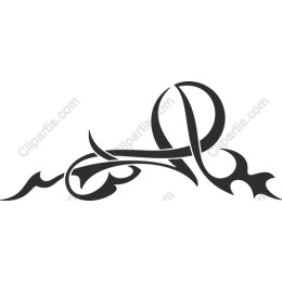 Elegant Flowing Swirl