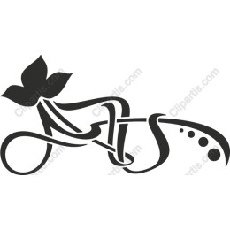 Elegant Vine