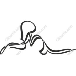 Elegant Octopus