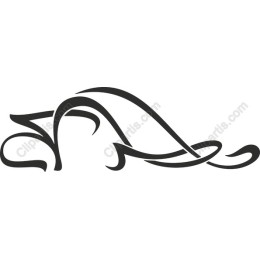 Elegant Abstract Flowing Lines