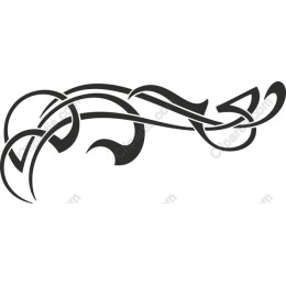 Elegant Swirl