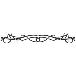 Elegant Decorative Border