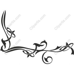 Elegant Ornamental Floral