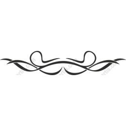 Elegant Decorative Flourish