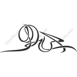 Elegant Artistic Flourish