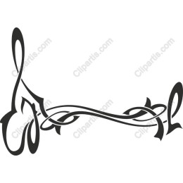 Elegant Floral