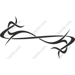 Elegant Abstract Swirl