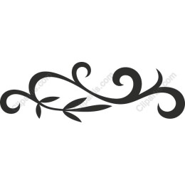Elegant Floral Swirl