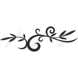 Elegant Floral Swirl