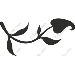 Elegant Branch
