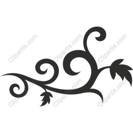 Elegant Vine