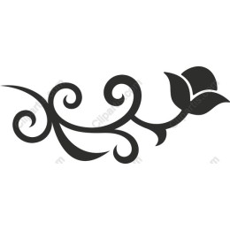 Elegant Swirling Rose Floral