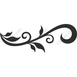 Floral Swirl