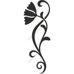 Elegant Floral