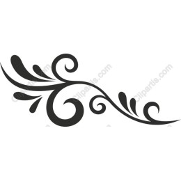 Elegant Ornamental Flourish