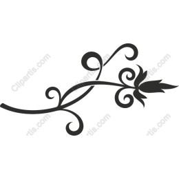 Elegant Floral Vine