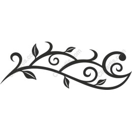 Elegant Vine