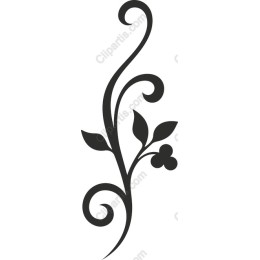 Elegant Floral Swirl