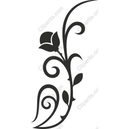 Elegant Floral