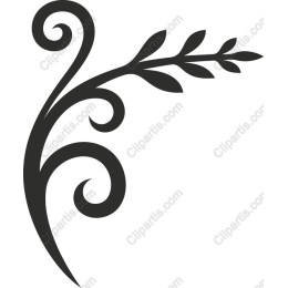 Curvy Floral