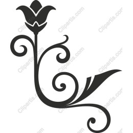 Elegant Floral