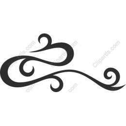 Elegant Swirl
