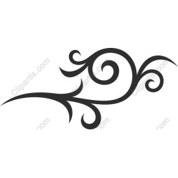 Elegant Swirl