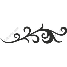 Elegant Swirl