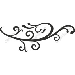 Elegant Swirl