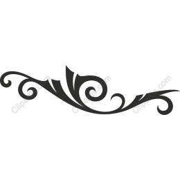 Elegant Decorative Swirl