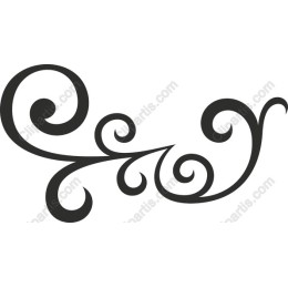Elegant Swirl