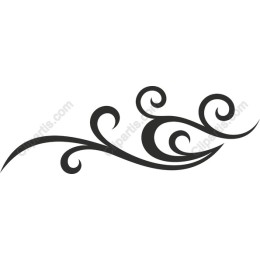 Elegant Swirl