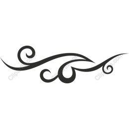 Elegant Black Swirl